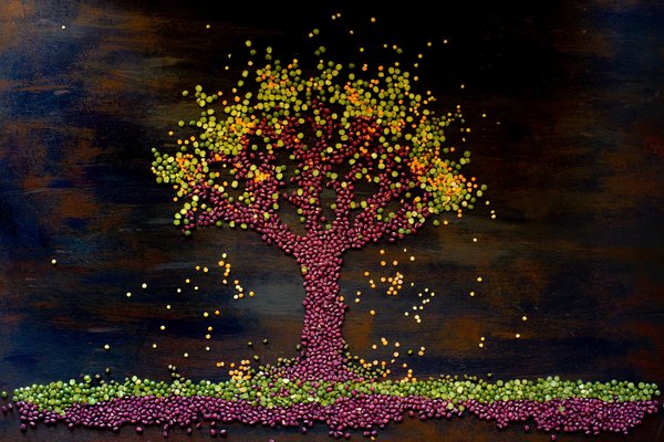 Comment cuisiner des plats végétaliens riches en protéines ?